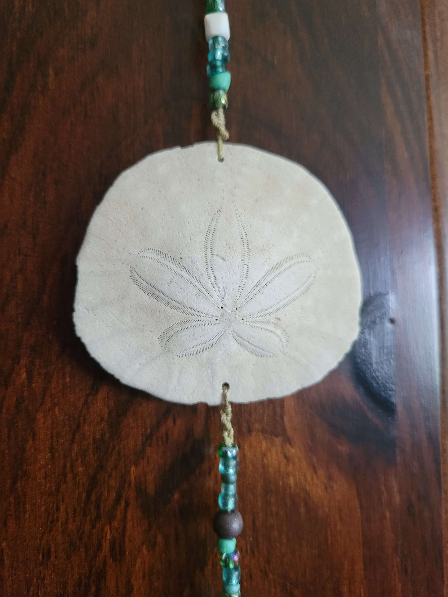Beaded Shell Decor - Sand Dollar