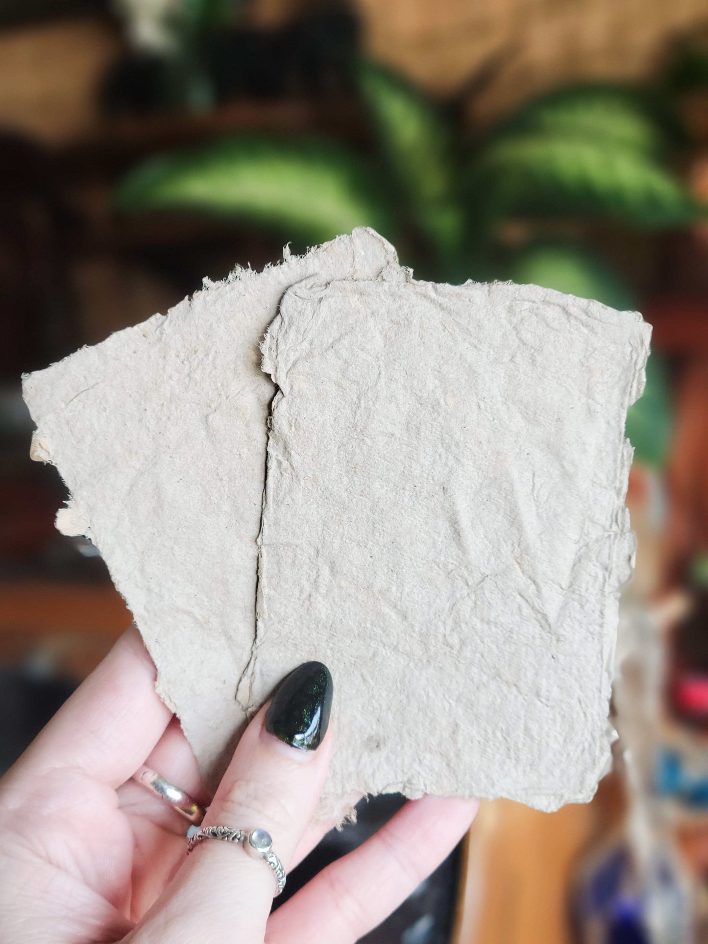 Intention Paper - Banish