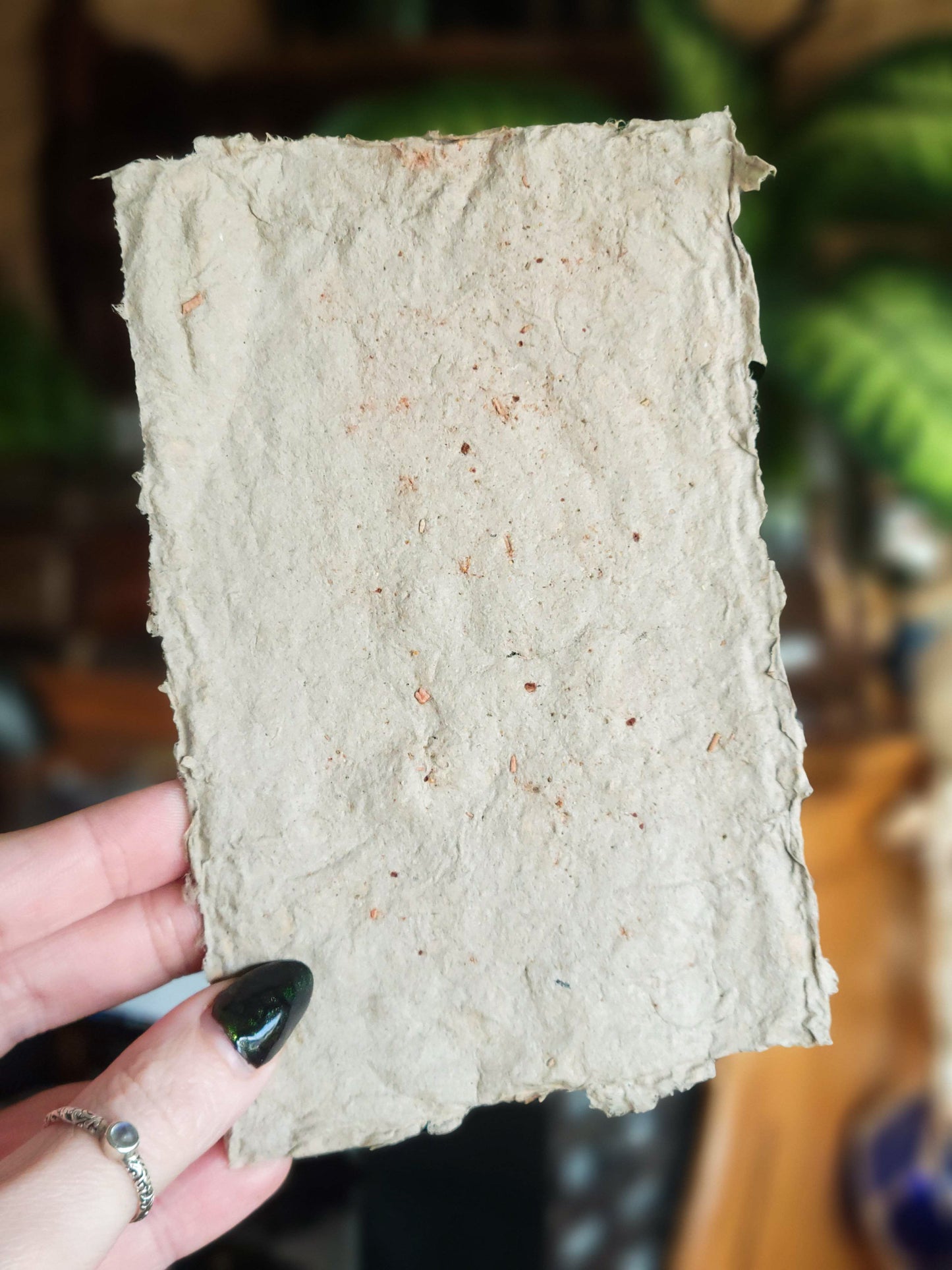 Intention Paper - Banish