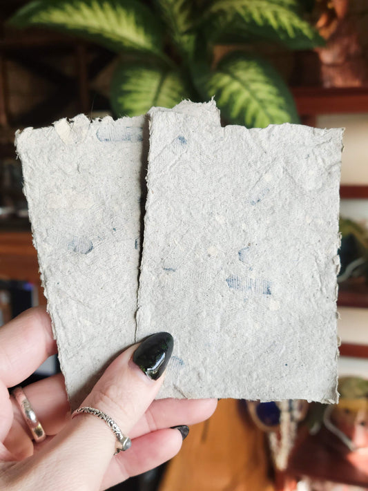 Intention Paper - Insight