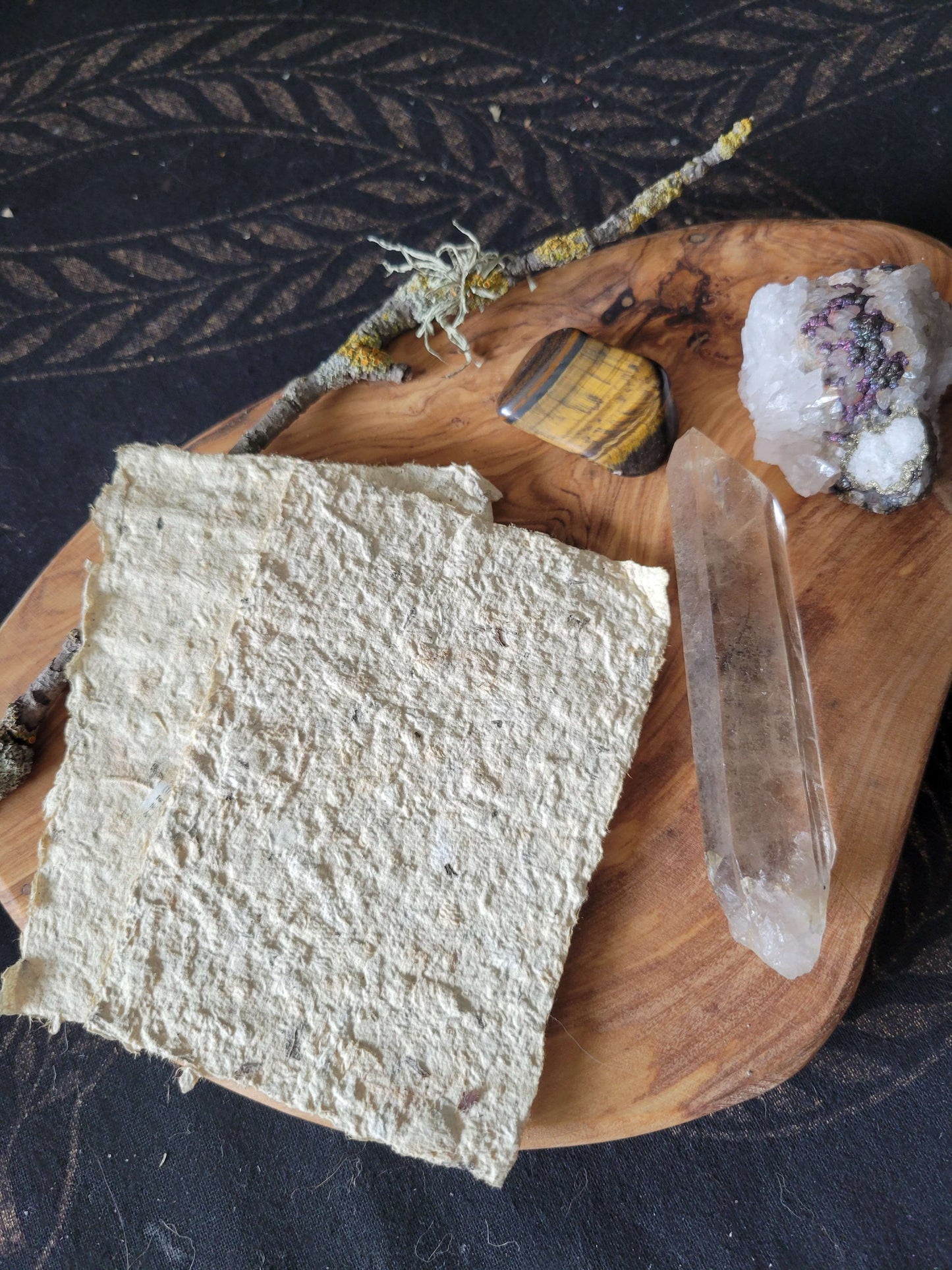 Intention Paper - Pet