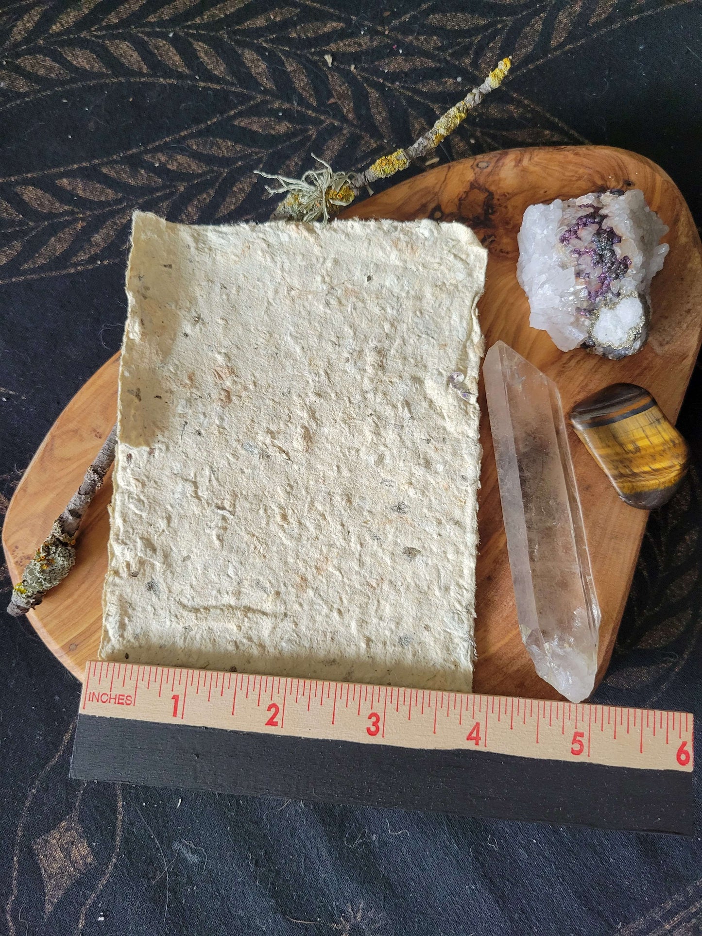 Intention Paper - Pet