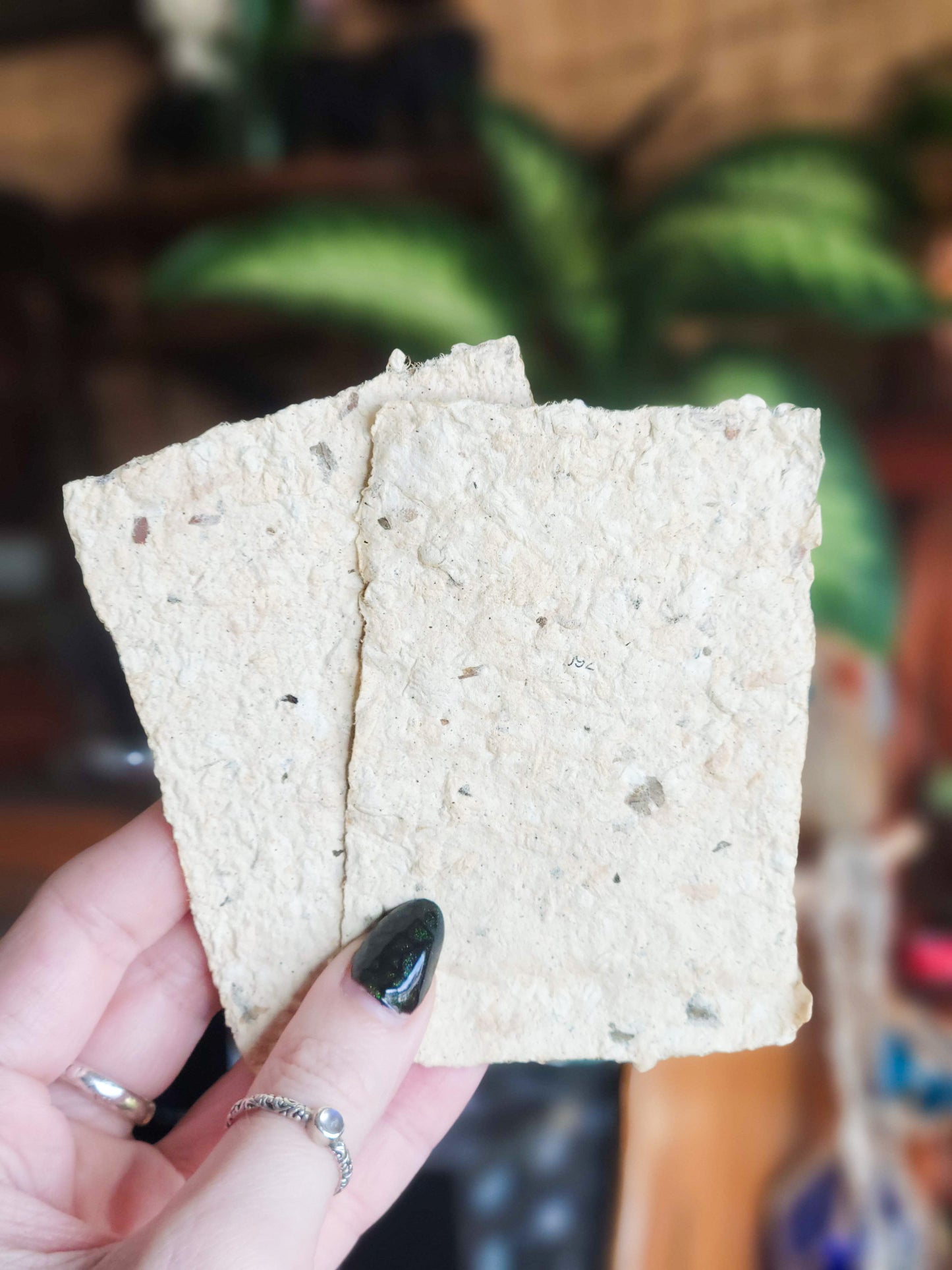 Intention Paper - Pet