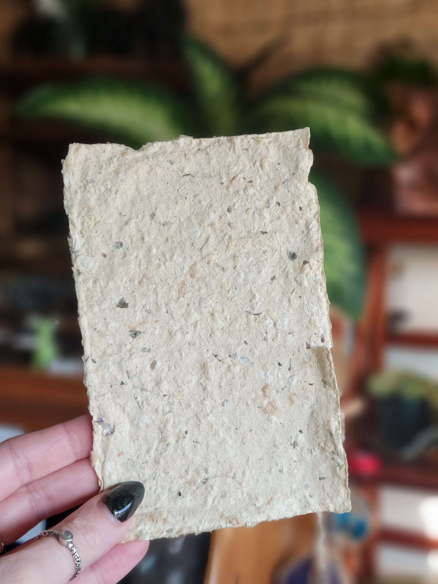 Intention Paper - Pet