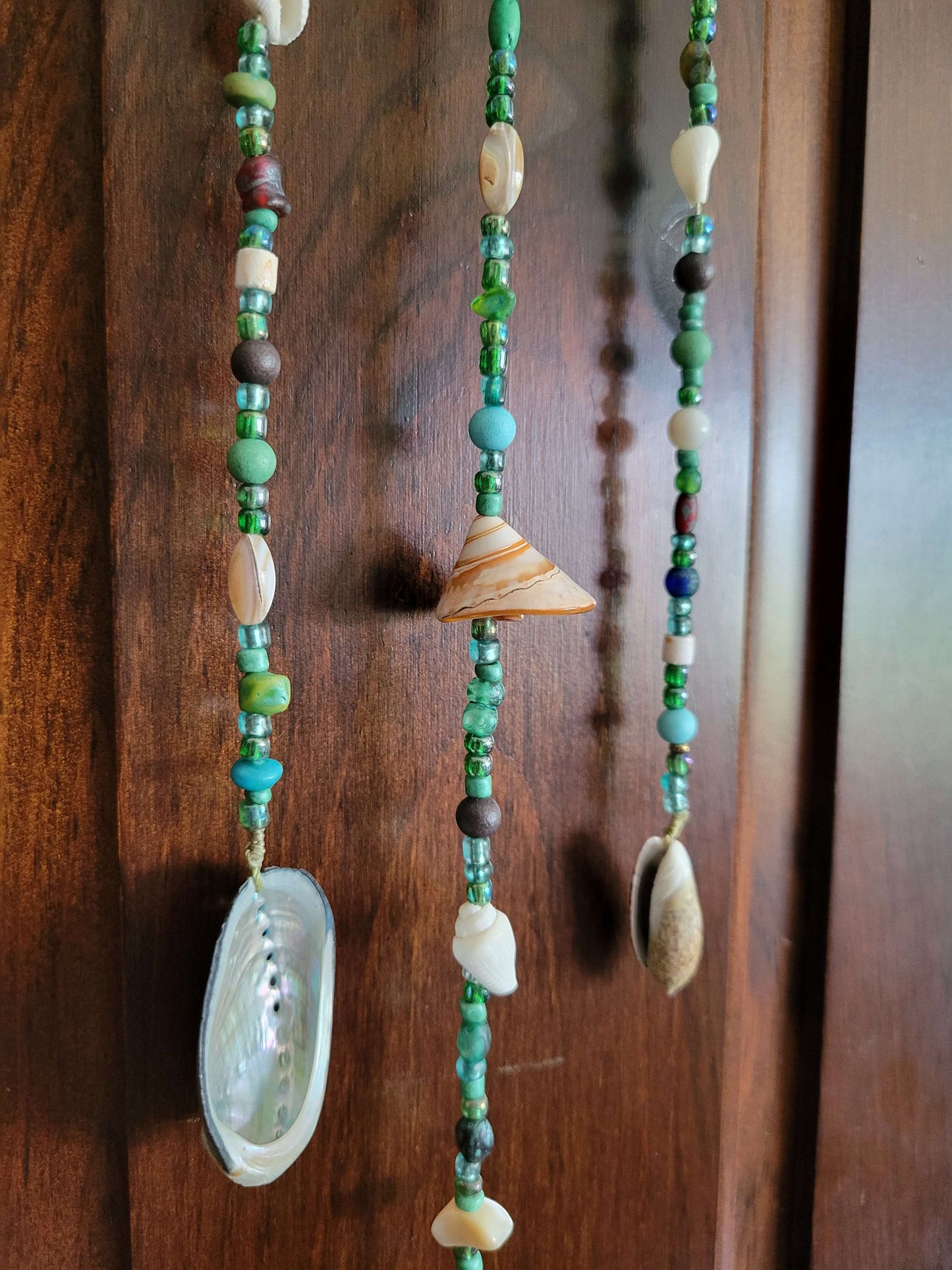 Beaded Shell Decor - Mixed Shell